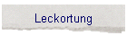 Leckortung